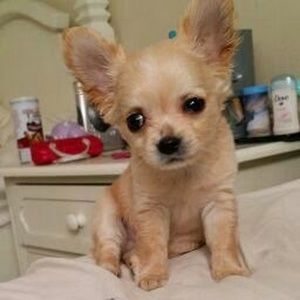 Meet your Posher, Marisol